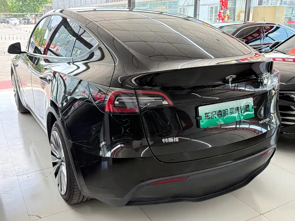 Tesla Model Y — миниатюра 12