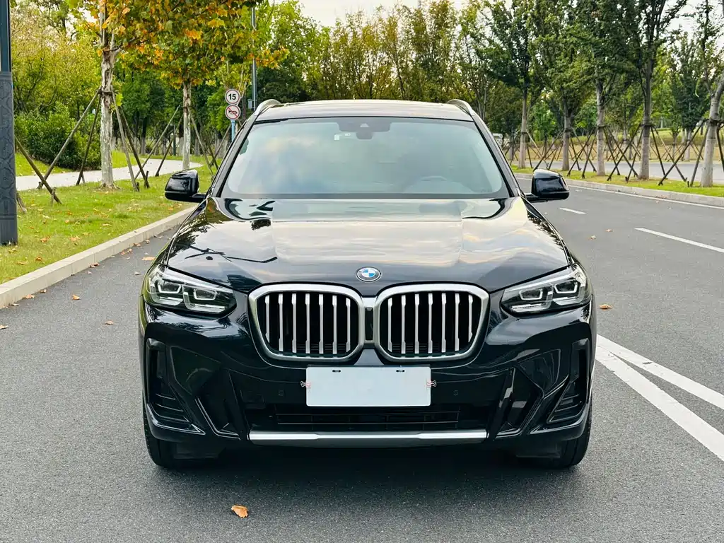 BMW X3 — миниатюра 2
