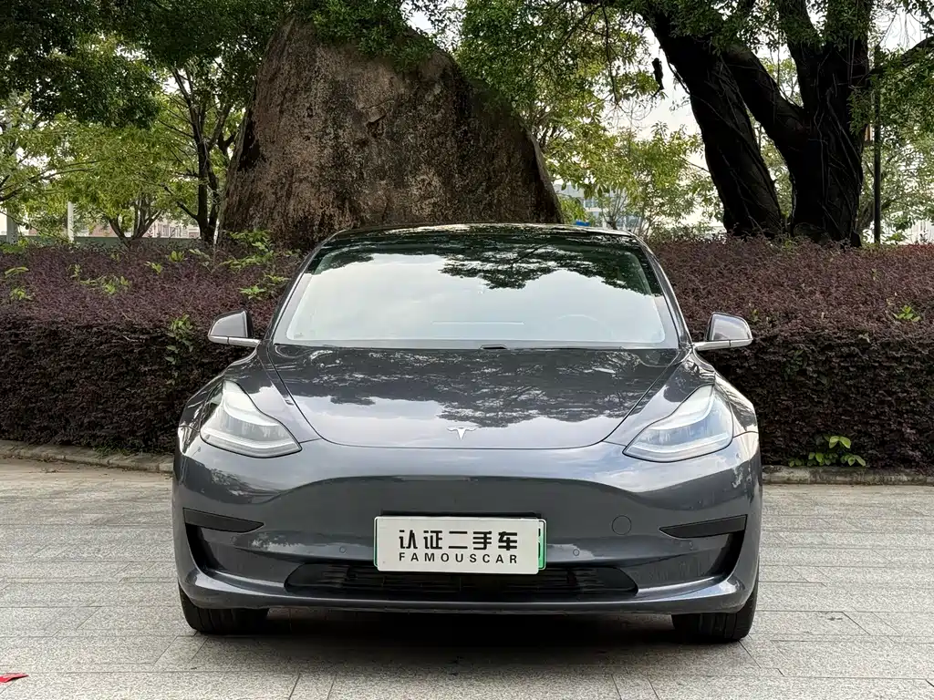 Tesla Model 3 — миниатюра 2