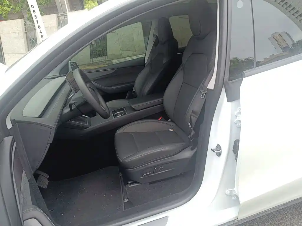 Tesla Model Y — миниатюра 16