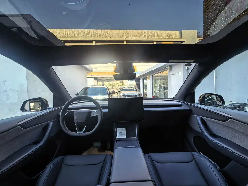 Tesla Model Y — миниатюра 12