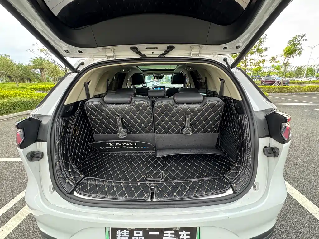 BYD Tang New Energy — миниатюра 35