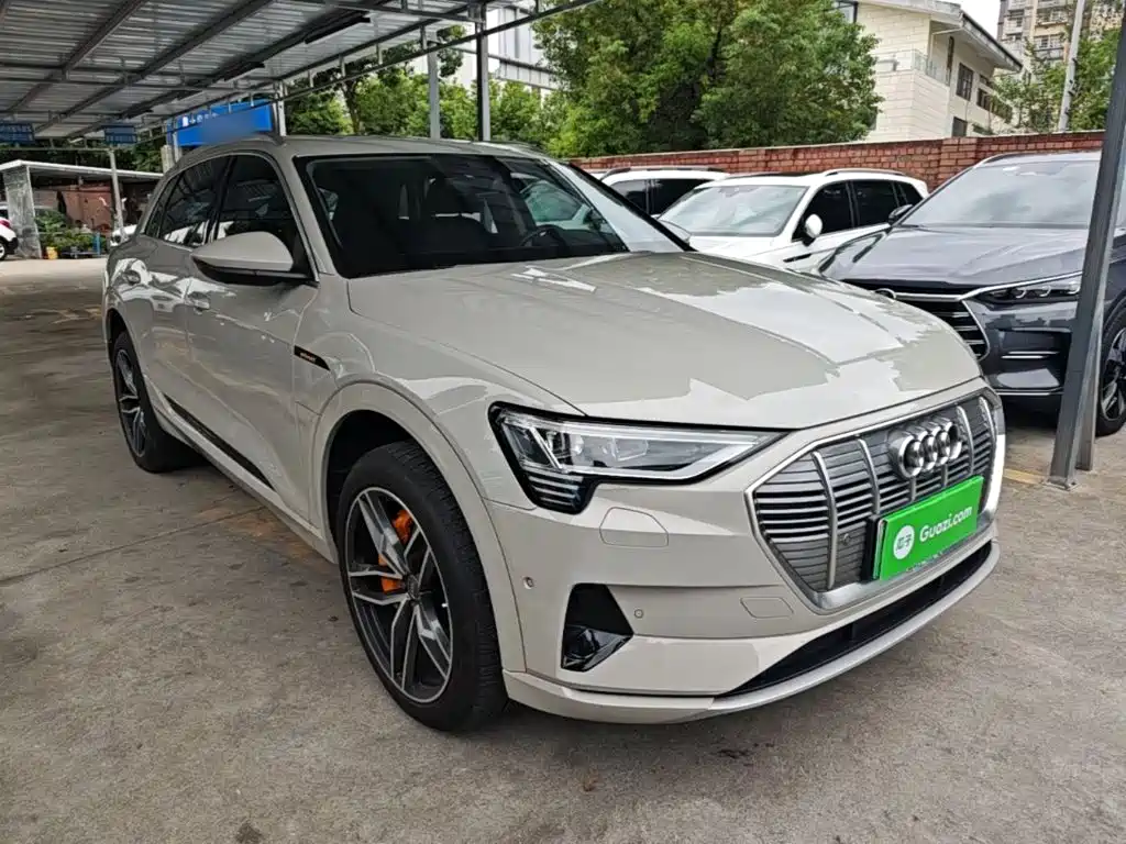 Audi e-tron (Import) — миниатюра 4