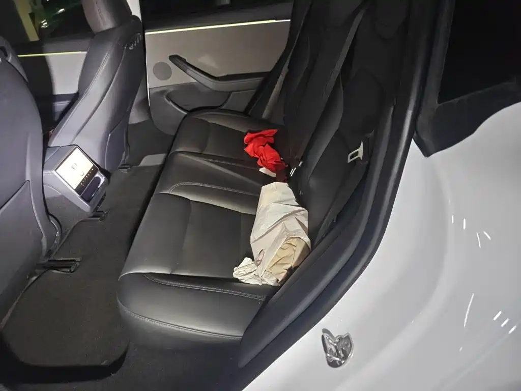 Tesla Model 3 — миниатюра 15