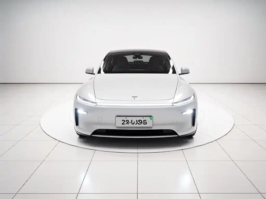 Tesla Model Y — миниатюра 2
