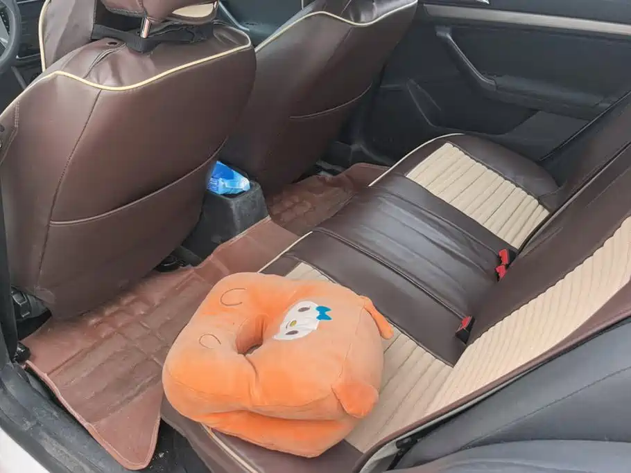 Volkswagen Lavida — миниатюра 11