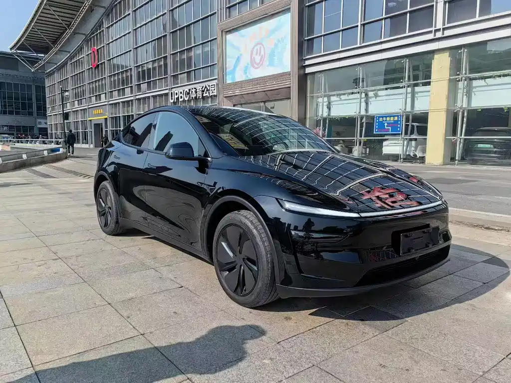 Tesla Model Y — миниатюра 3