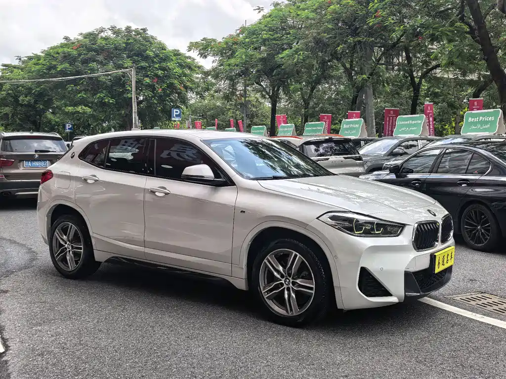 BMW X2 2020 sDrive25i Lead M Sport