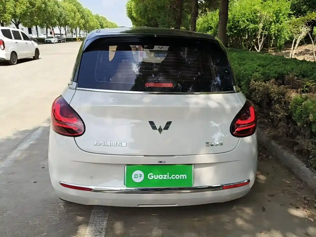 Wuling Binguo 2023 333km Enjoy