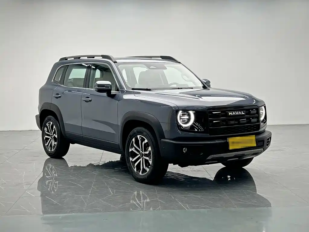 Haval 长城大狗 — миниатюра 8