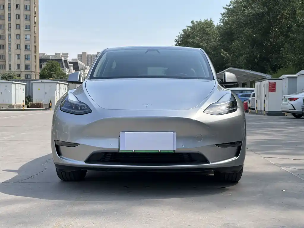 Tesla Model Y — миниатюра 5