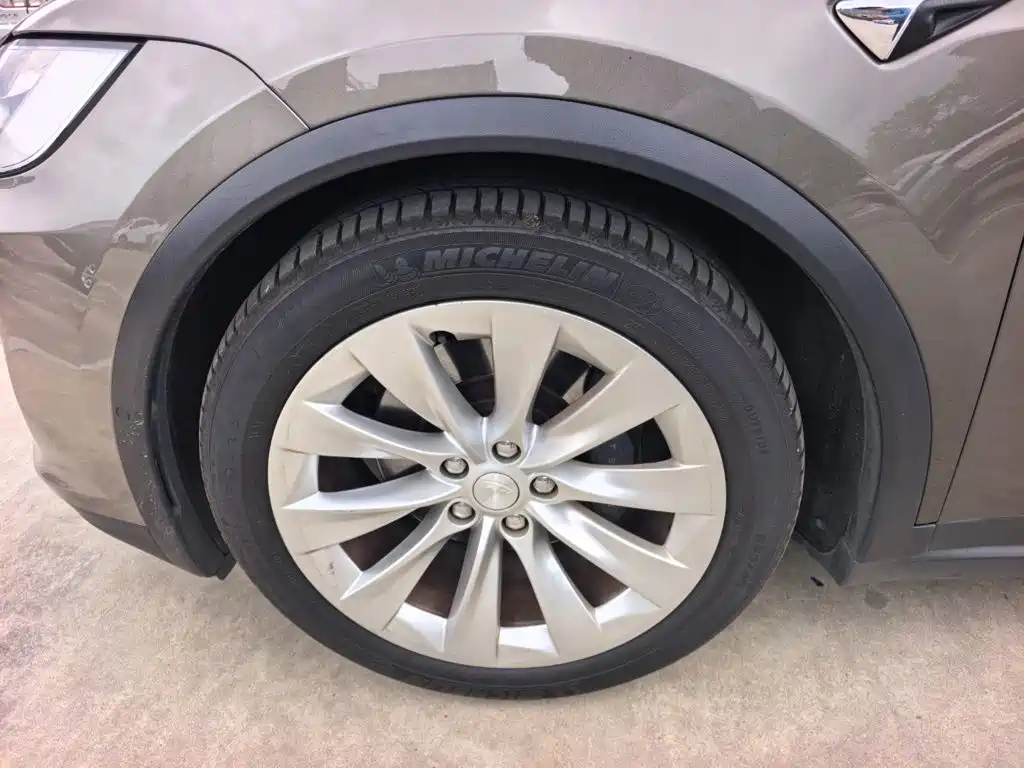 Tesla Model X — миниатюра 7