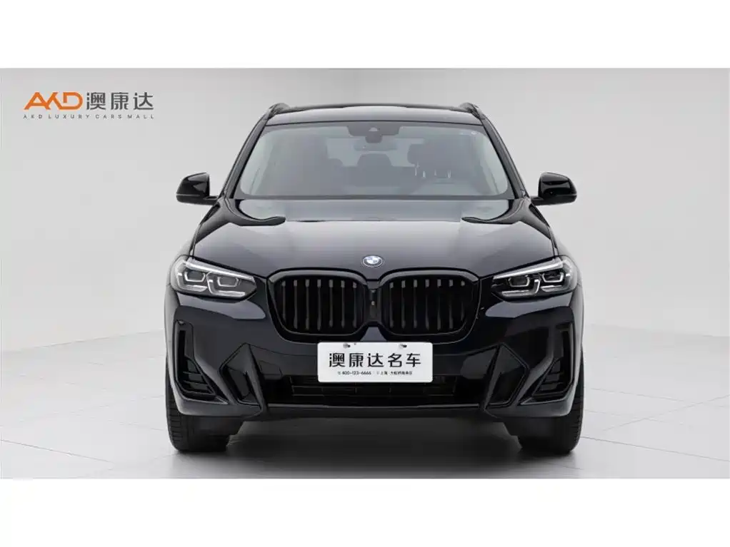 BMW X3 — миниатюра 2
