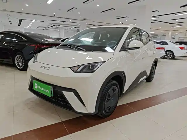 2024 BYD Seagull