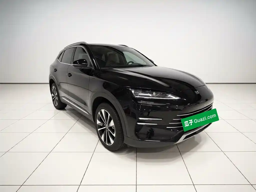 BYD PLUS New Energy — миниатюра 3