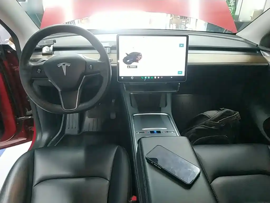 Tesla Model Y — миниатюра 10