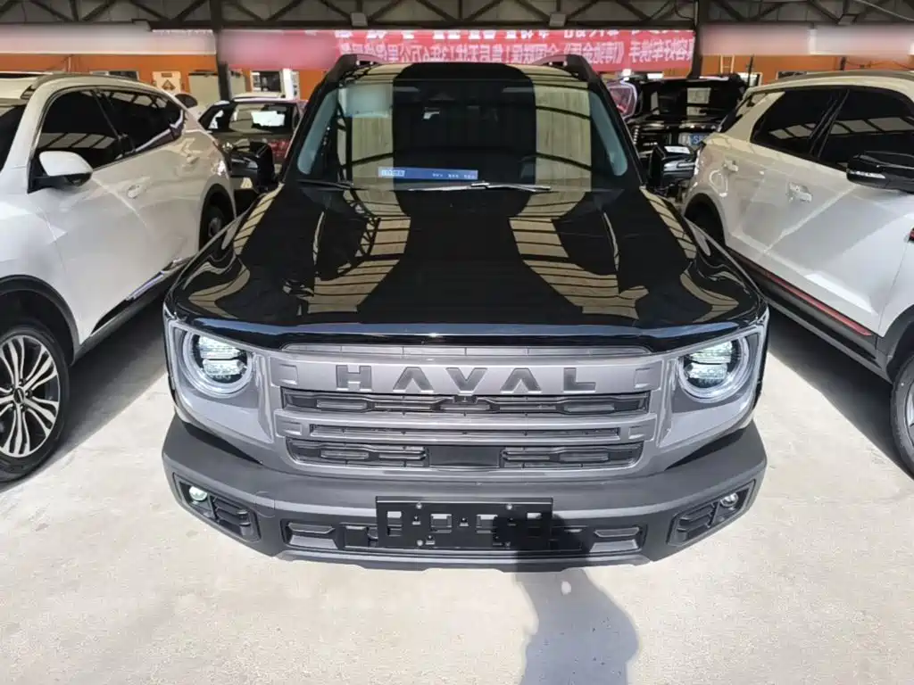 Haval 长城大狗 — миниатюра 3