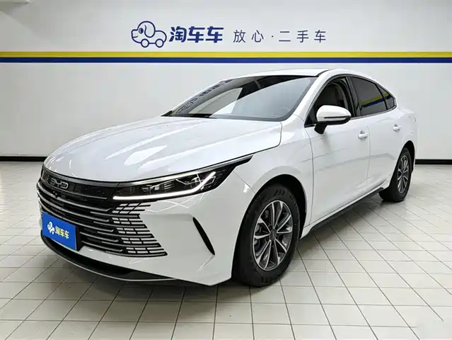 2024 BYD Destroyer