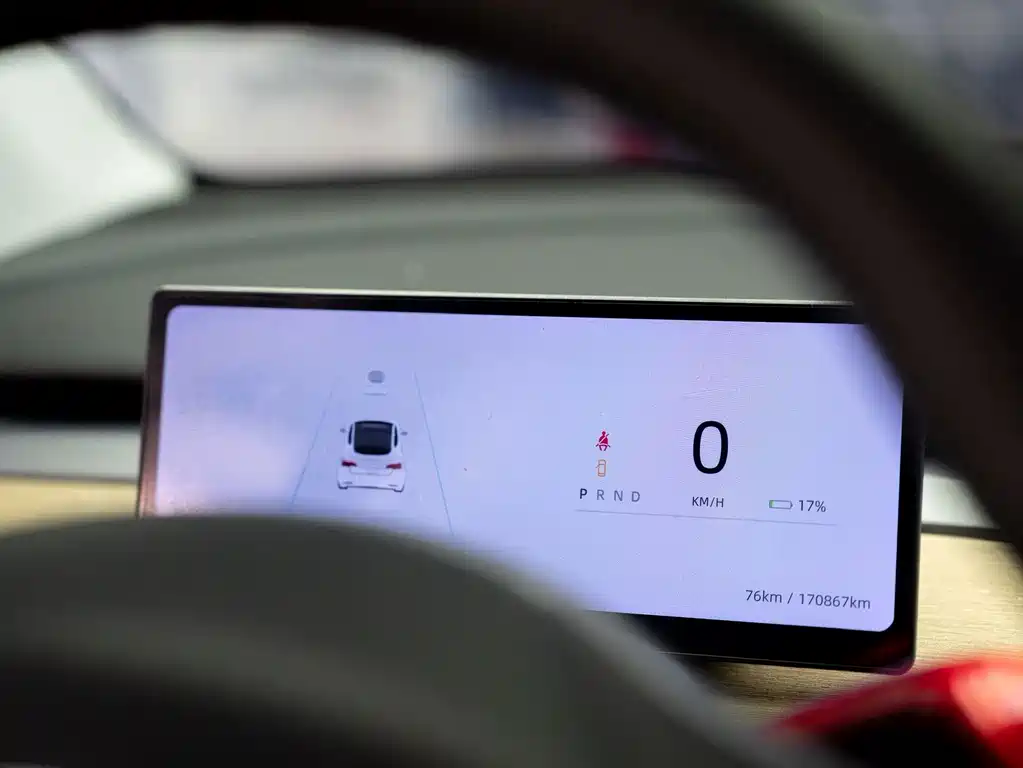 Tesla Model Y — миниатюра 11