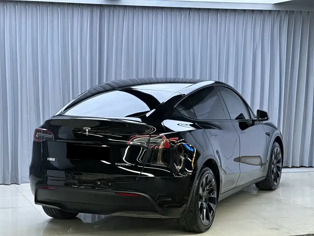 Tesla Model Y — миниатюра 5
