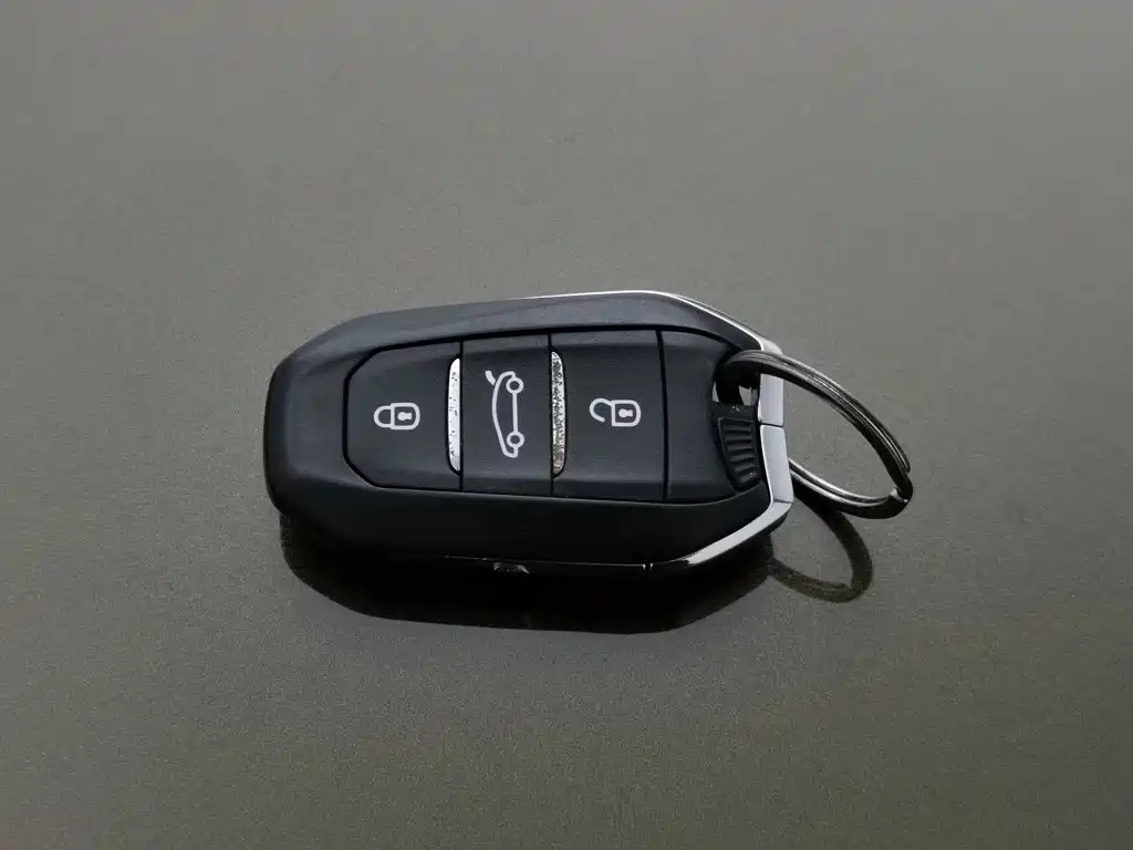 DS DS 5LS — миниатюра 19