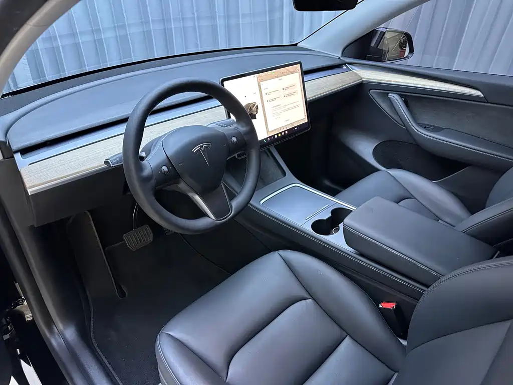 Tesla Model Y — миниатюра 7