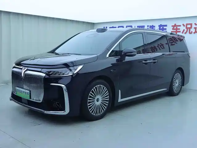 2025 Voyah Dream