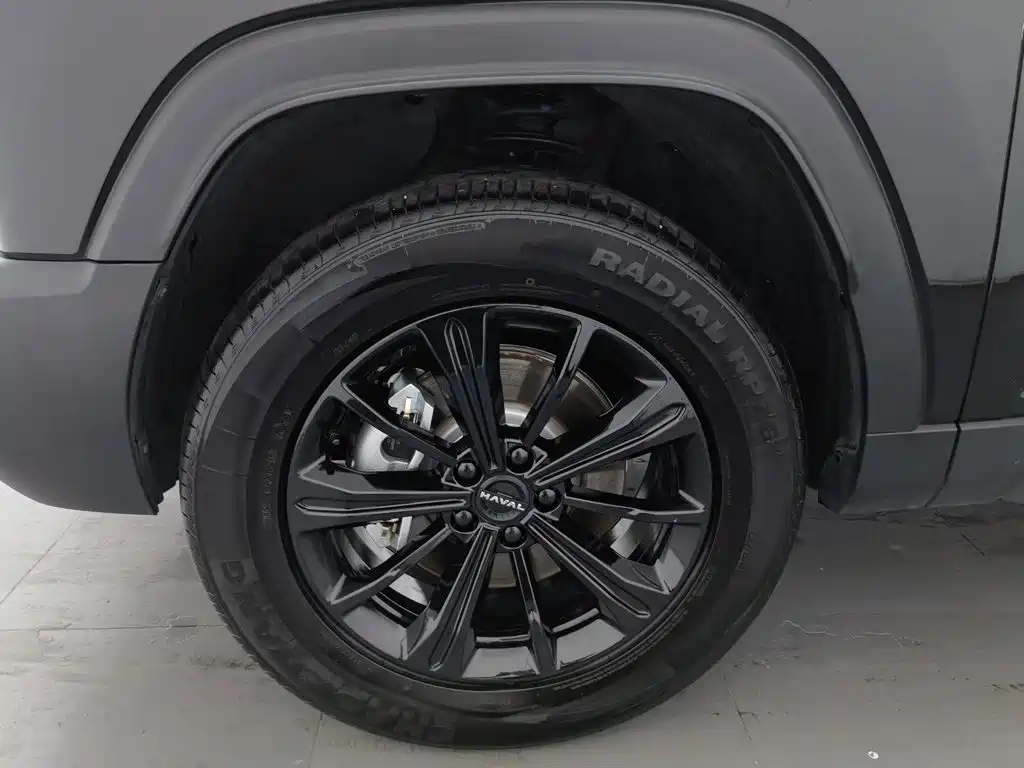 Haval Menglong New Energy — миниатюра 17