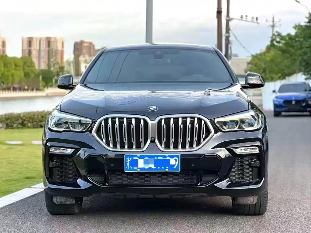 BMW X6 — миниатюра 2