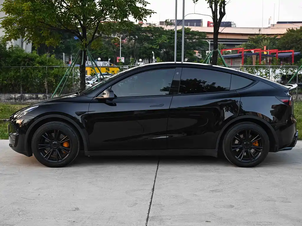 Tesla Model Y — миниатюра 3