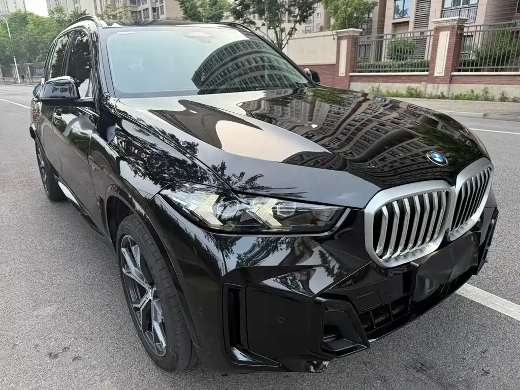 BMW X5 — миниатюра 3