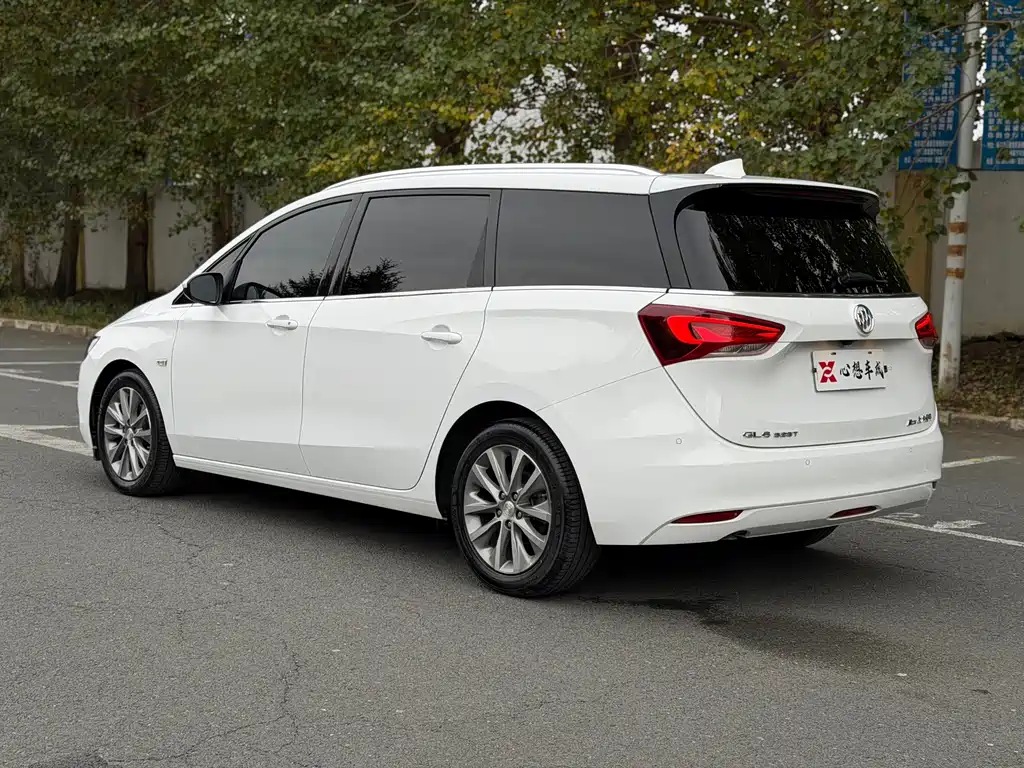 Buick GL6 — миниатюра 6