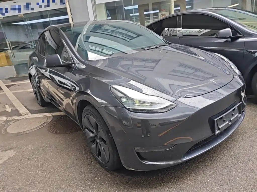 Tesla Model Y — миниатюра 4