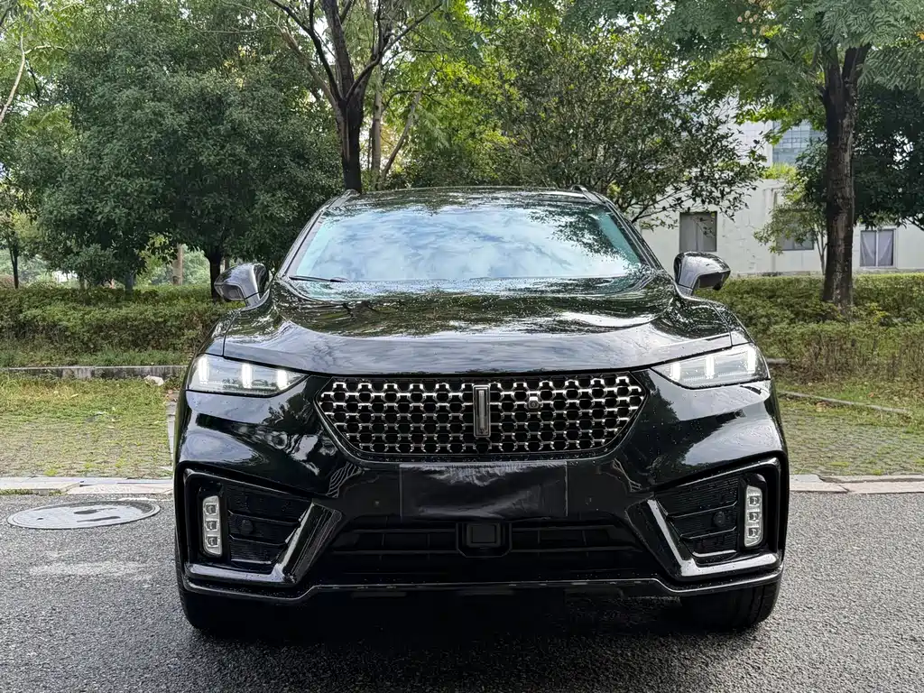 Wey Wey VV7 GT — миниатюра 2