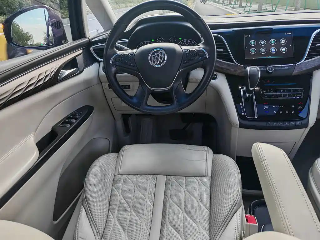 Buick GL8 — миниатюра 8