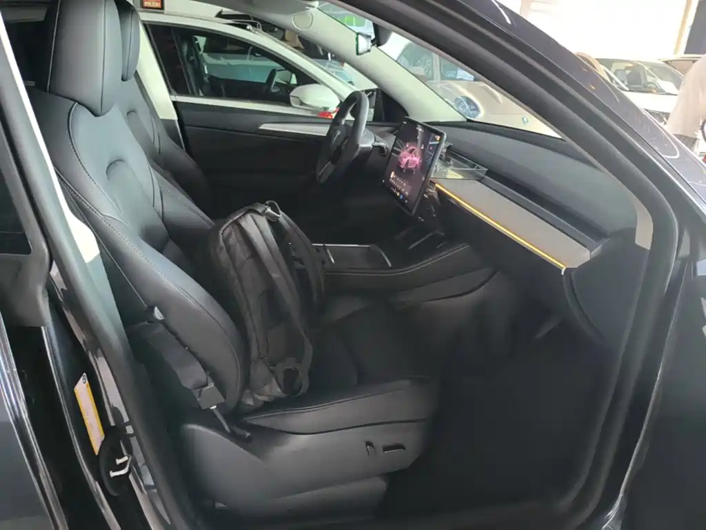 Tesla Model Y — миниатюра 25
