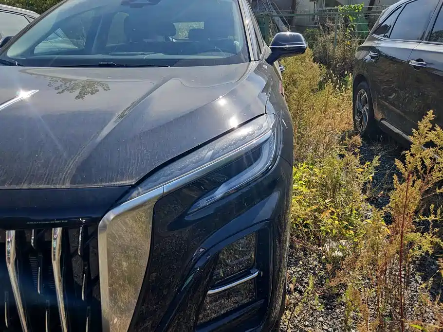 Hongqi Hongqi HS3 PHEV — миниатюра 4