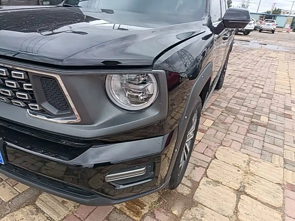 Haval Big Dog PLUS — миниатюра 24