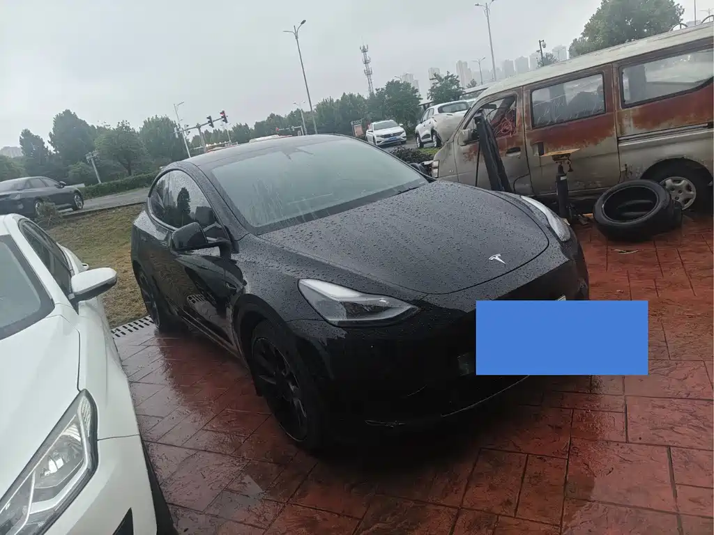 Tesla Model Y — миниатюра 3