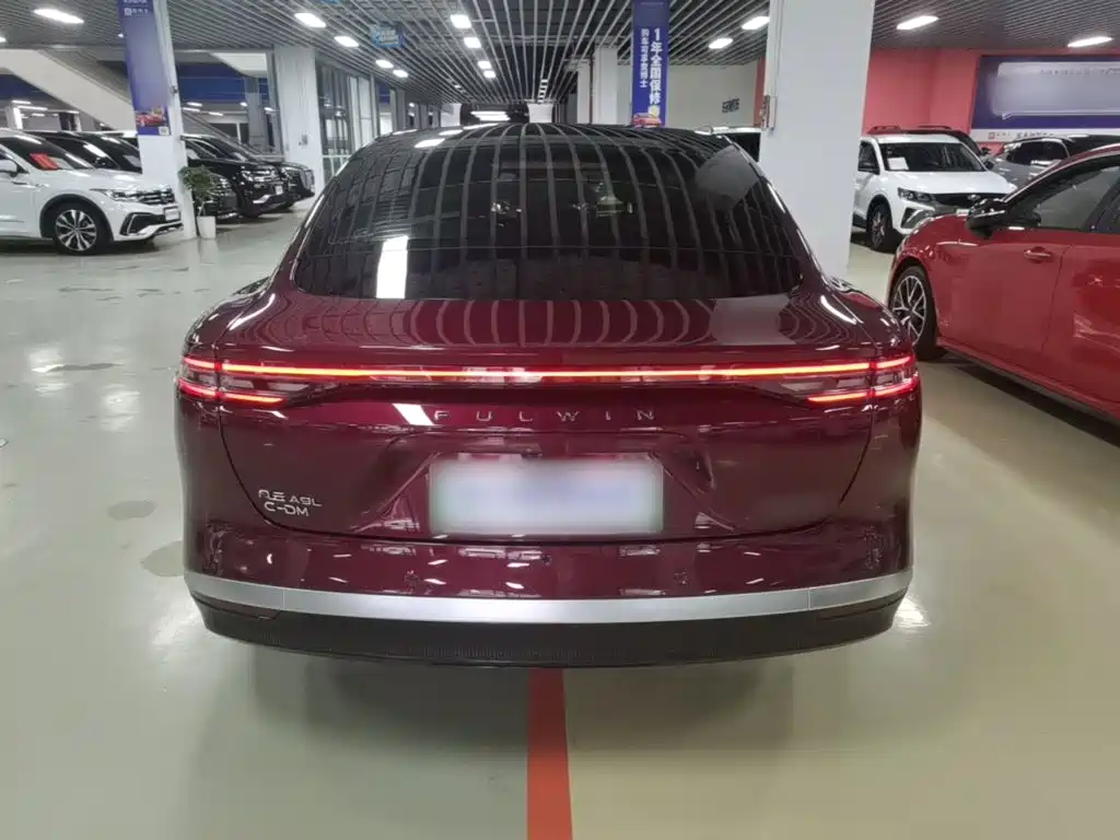 Fulwin Fengyun A9L — миниатюра 6