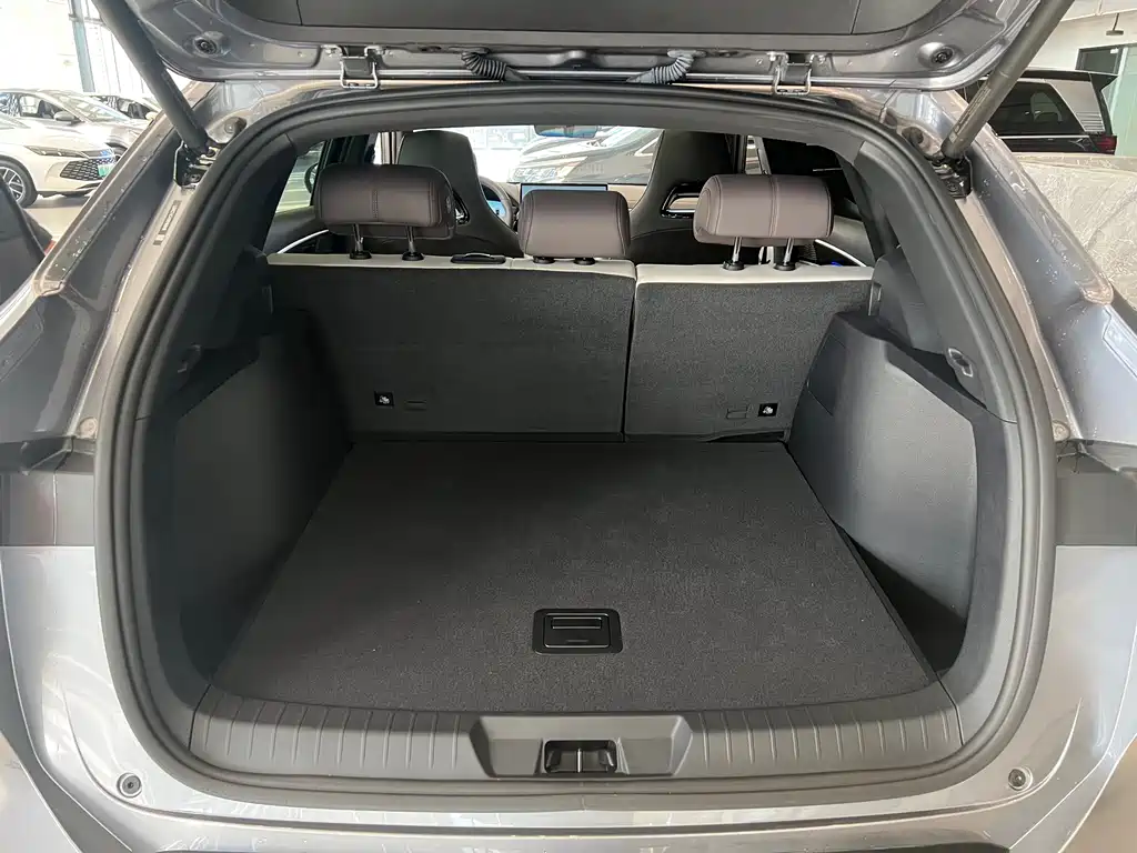 BYD SONGJIANG NEW ENERGY