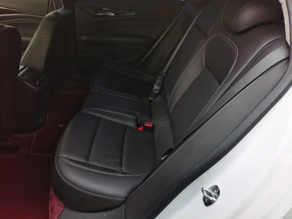 Buick Regal — миниатюра 17