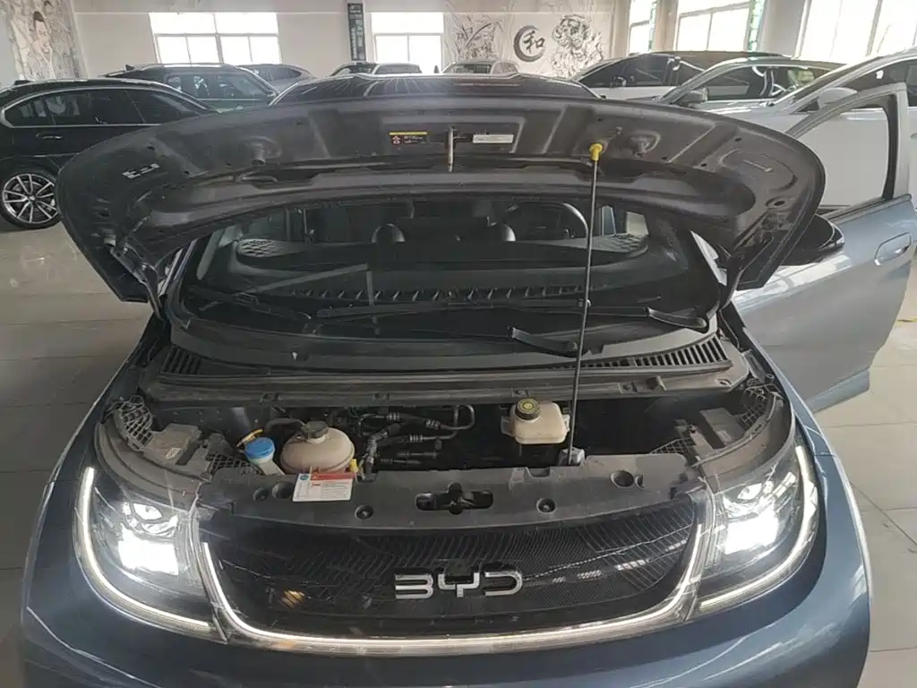 BYD Dolphin — миниатюра 20
