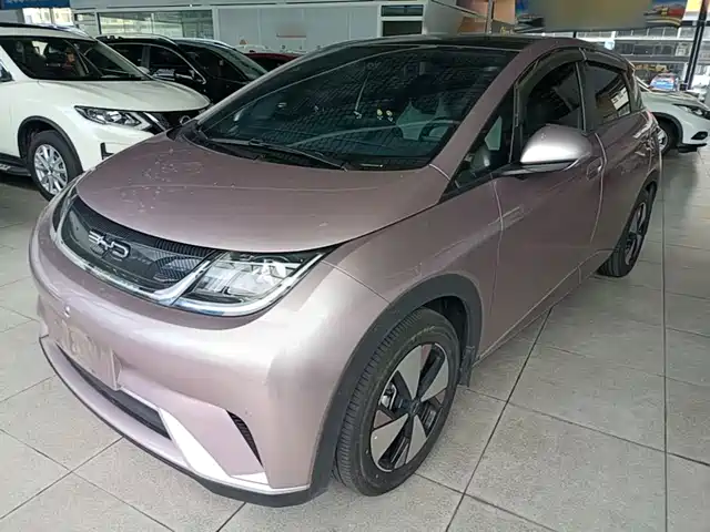 2024 BYD Dolphin