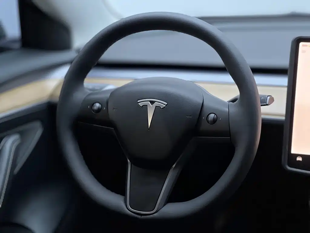 Tesla Model 3 — миниатюра 8