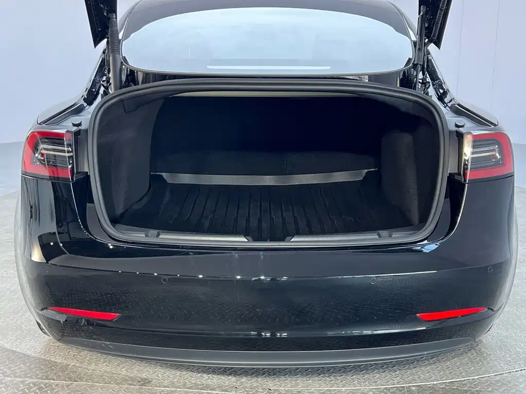 Tesla Model 3 — миниатюра 20