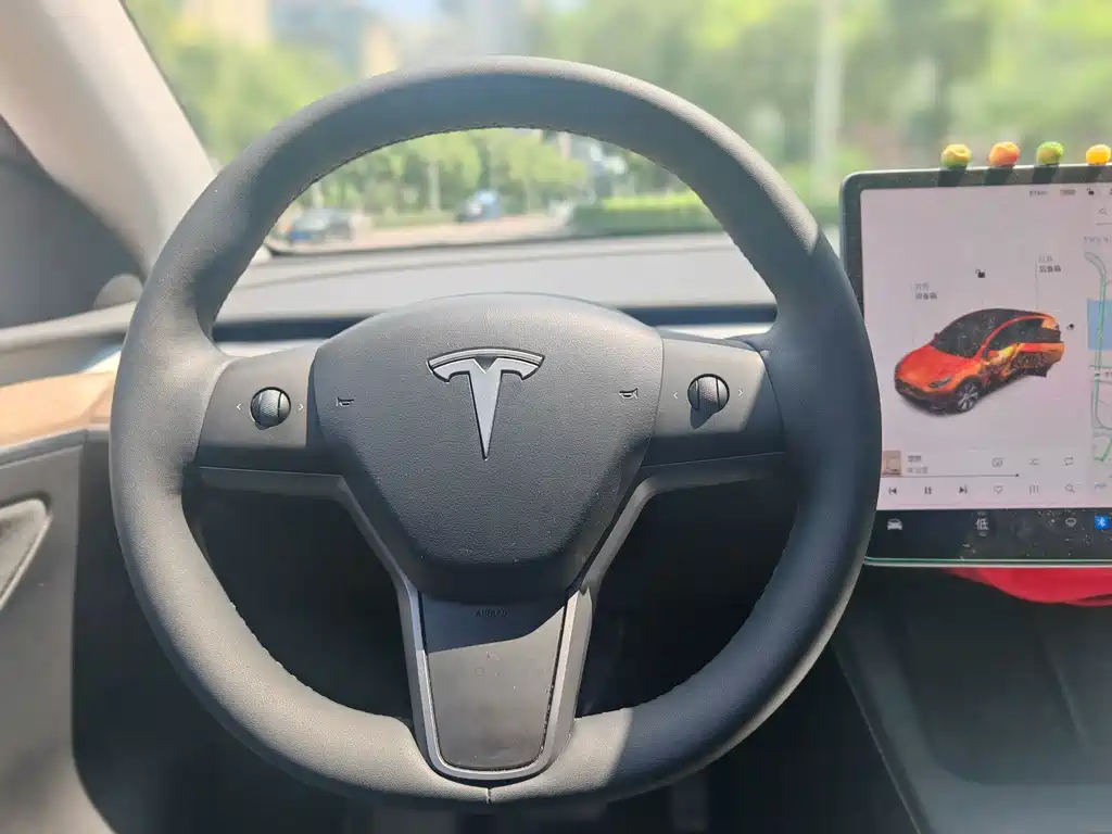 Tesla Model Y — миниатюра 15