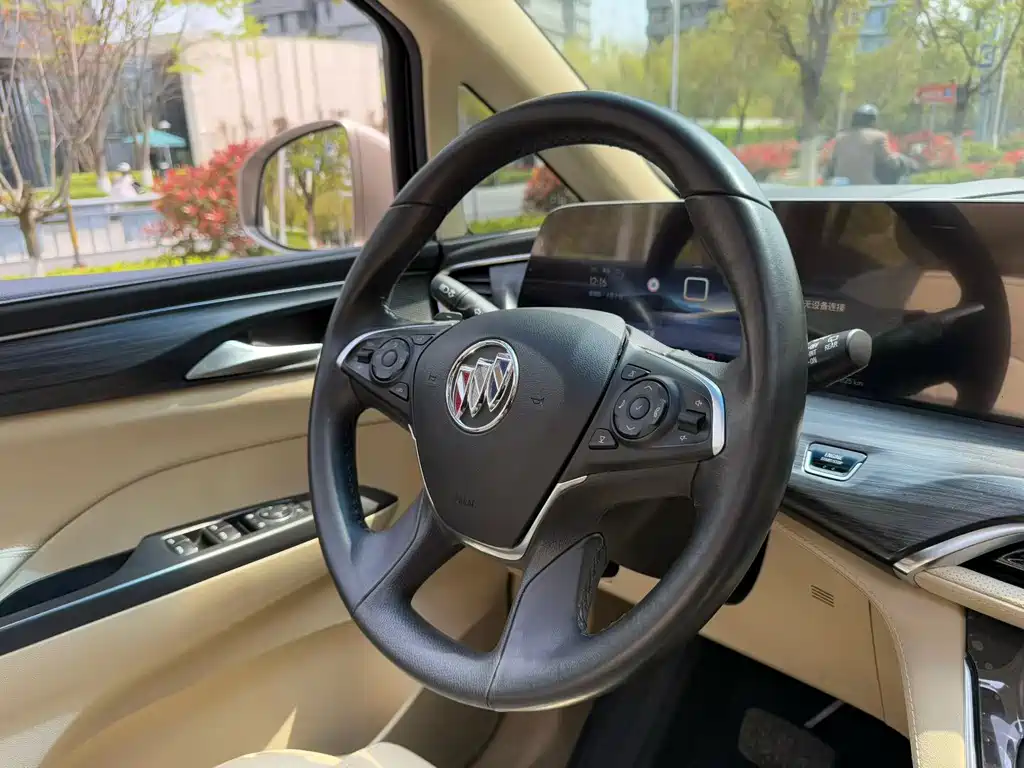 Buick GL8 — миниатюра 15
