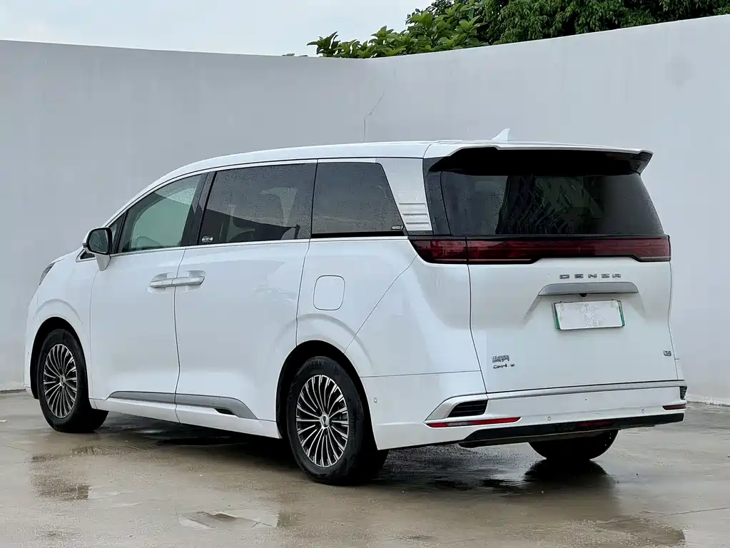 Denza Denza D9 — миниатюра 4