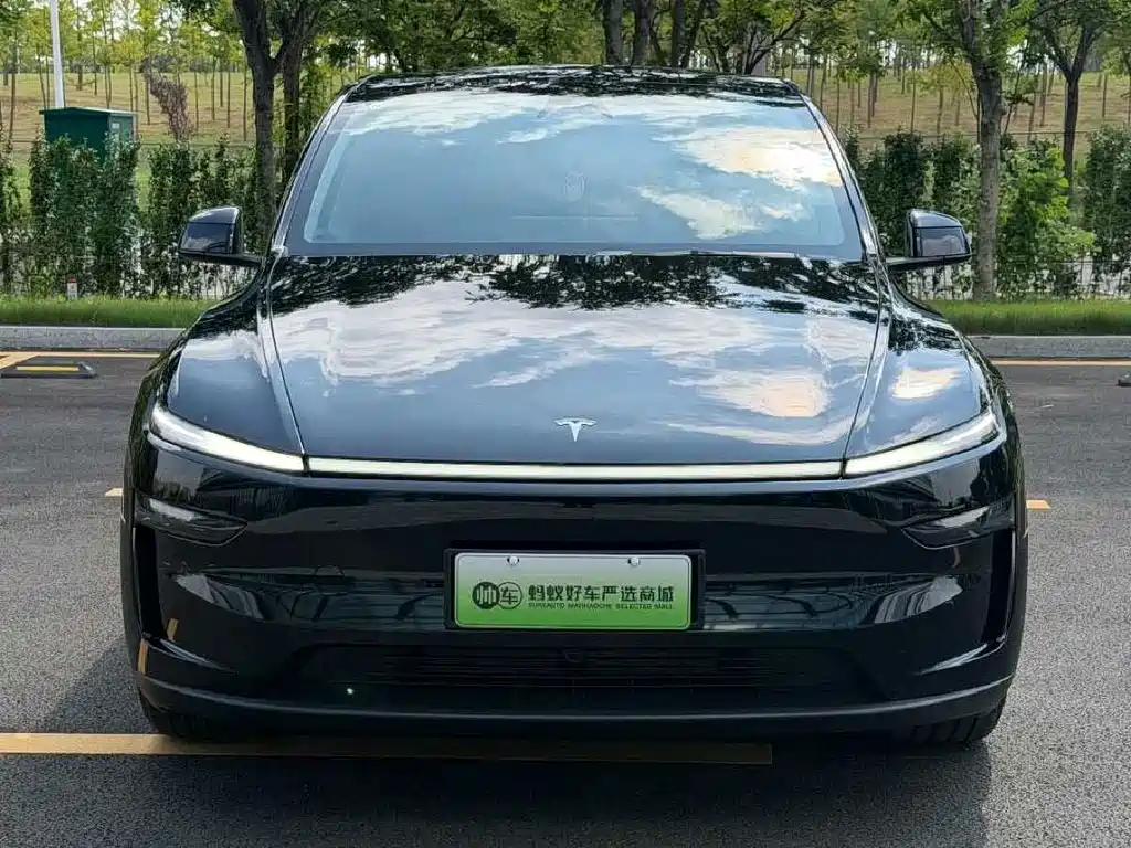 Tesla Model Y — миниатюра 2